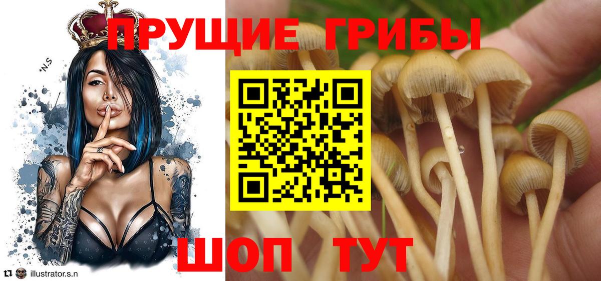 Экстази  Вход с VPN  Каннабис  Ишимбай  Меф МЯУ МЯУ кристаллы  ГАШ  Cocaine 