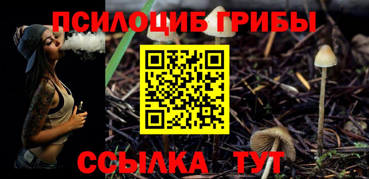 Псилоцибиновые грибы мицелий  где можно купить   Ишимбай  Вход с VPN 